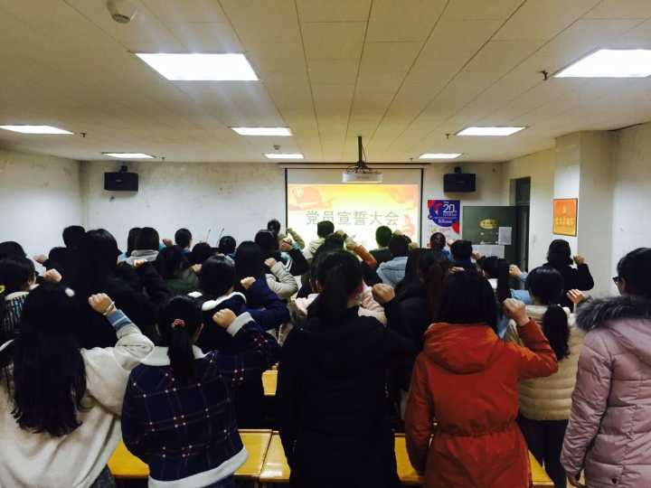 全体党员进行庄重宣誓