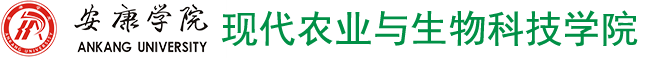 2026世界杯官方合作网站
